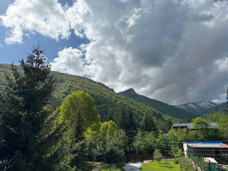 Cosy Mountain Villa In Nizepole Bitola Eksteriør bilde